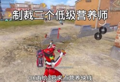 和平精英营养师教程_美国辅助哥和平精英营养师