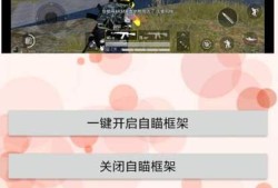 和平精英美国辅助哥_和平精英辅助大哥