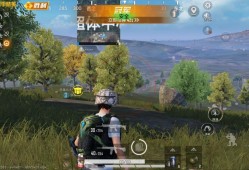 和平精英模拟器辅助【保时捷】全新独家过检数据，过三方