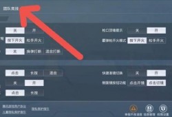 直播和平精英赚钱吗_卖辅助软件和平精英赚钱吗