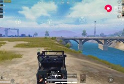 关于和平精英辅助问题的探讨：为何这款游戏面临如此多的辅助挑战？_和平精英为啥辅助这么多