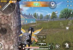 和平精英辅助吧_辅助兴邦和平精英