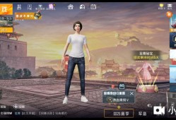 和平精英开挂封号10年怎么解封_和平精英开辅助的封号率