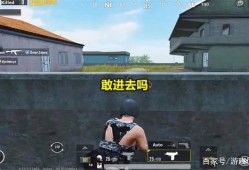 臭脚丫和平精英_臭脚丫和平精英辅助