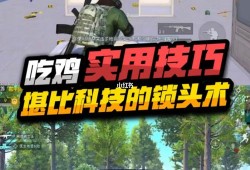 和平精英稳定挂_堪比辅助的操作和平精英