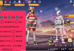 和平精英辅助【哈士奇容器直装稳定版】全图人物透视 主播无后座 开枪防抖动 皮肤美化 聚点无后座 掩体变色 欧布变色 紫色螳螂 触摸自瞄 自瞄范围