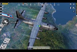 和平精英透视神器免费_和平精英辅助神器透视