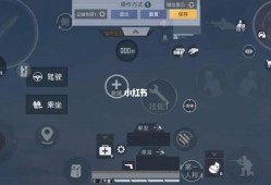 和平精英物理辅助布局：游戏制胜的关键技巧与策略探讨_和平精英物理辅助布局