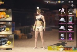 和平精英辅助_和平精英老大辅助哥