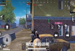 帮我和平精英开辅助_佰万和平精英遇到辅助