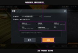 和平精英透视自瞄挂_和平精英辅助检举员