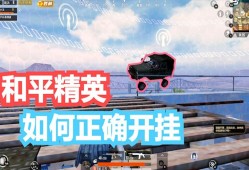 和平精英怎么搞挂_实锤辅助和平精英怎么处理