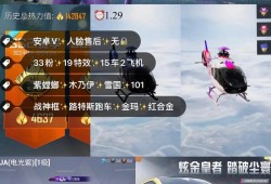 国际服和平精英挂_和平精英国际辅助