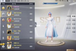 和平精英游戏内玩家遭遇“开镜自瞄辅助”现象：游戏公平性的挑战与应对策略探讨_和平精英开镜自瞄辅助