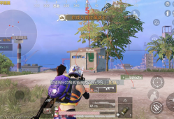 和平精英辅助忍者直装_一款永久透视自瞄功能的和平精英辅助软件