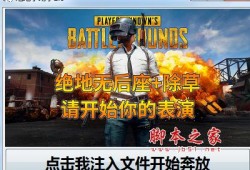 和平精英辅助网站_和平精英辅助选项