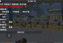 和平精英辅助【保时捷直装】子弹追踪 人物透视 漏打自瞄 锁头锁胸 皮肤美化