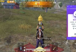 和平精英蓝鲸透视自瞄辅助纯一体直装外辅助挂_和平精英辅助蓝鲸直装透视自瞄