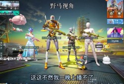 和平精英怎样才能开辅助_和平精英被辅助打了