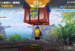 和平精英飞鸟直装辅助