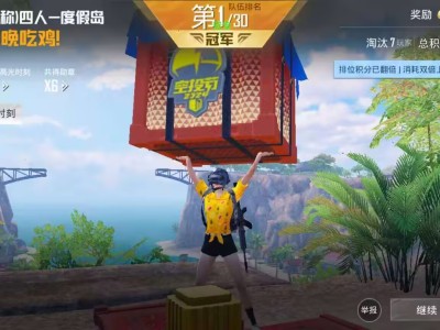 和平精英飞鸟直装辅助