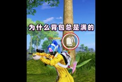 和平精英有挂吗_和平精英外服有辅助吗