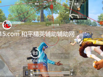 和平精英模拟器高清版辅助【神罚特别版】支持网吧使用、家庭使用 支持所有电脑系统，支持模拟器高清版。