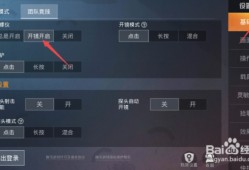 和平精英怎样才能开辅助_和平精英怎么样开辅助更厉害