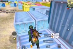 和平精英都是挂弃坑了_和平精英开辅助都是十年吗