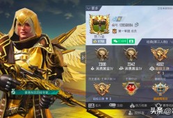 《和平精英赤羽金尊遭遇辅助：游戏安全挑战与应对策略》_和平精英赤羽金尊遇到辅助