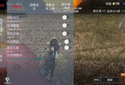 《和平精英辅助软件苹果手机：游戏优势与潜在风险》_和平精英辅助软件苹果手机