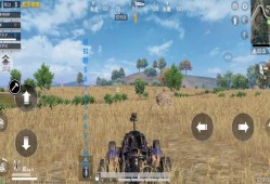 和平精英全新高辅助软件：提升游戏体验的创新利器_和平精英新出的高辅助软件