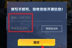 和平精英辅助彩蛋揭秘：深入探索游戏中的隐藏宝藏_和平精英辅助的彩蛋