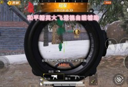 和平精英遭遇辅助：如何应对与反思游戏生态问题_和平精英遇见开挂的人