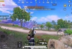 和平精英十大主播是谁_和平精英各大主播偶遇辅助