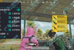 和平精英透视3元挂购买_和平精英永久辅助