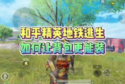 和平精英辅助最新_和平精英火神辅助