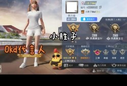 和平精英游戏名字_和平精英游戏全是辅助