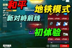 胖子直装和平精英画质的清晰度_胖子辅助和平精英