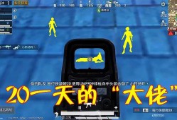 手机和平精英有挂吗_和平精英有辅助嘛