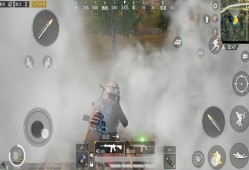 《揭秘和平精英辅助应对烟雾弹的奥秘与潜在风险》_和平精英辅助遇到烟雾