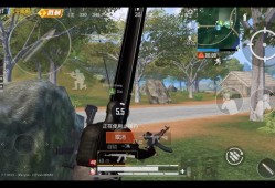 辅助和平精英_与辅助对战和平精英