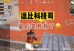 和平精英辅助主播_辅助哥玩和平精英怎么样