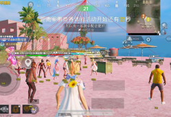 和平精英柚子直装辅助