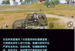 黑辅助投影手环多少钱_黑辅助投影手环玩和平精英测评