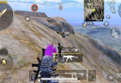 和平精英透视3元挂_和平精英自己画辅助