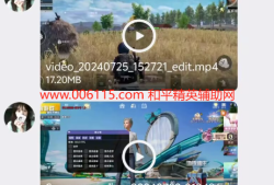 和平精英辅助【寒江雪内部定制】辅助 完美规避猎鹰巡查，稳定连打！