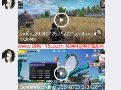 和平精英辅助【寒江雪内部定制】辅助 完美规避猎鹰巡查，稳定连打！