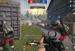 和平精英辅助揭秘：团队竞技中的优势提升策略与风险警示_和平精英辅助 团队竞技