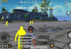 和平精英比赛_辅助进入和平精英比赛